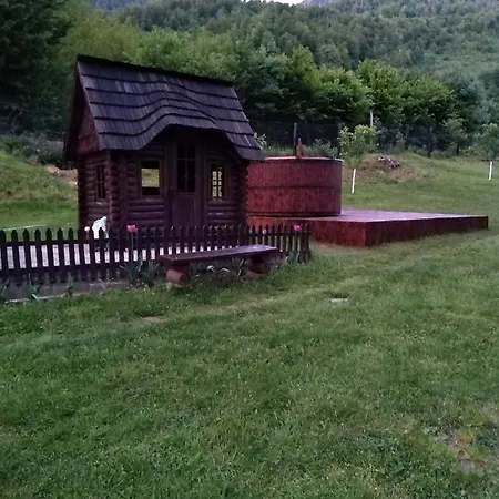 Guest house Pensiunea Roxana *