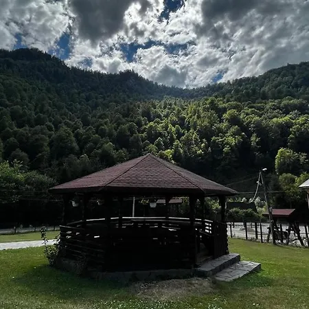 Guest house Pensiunea Roxana Valea Viseului