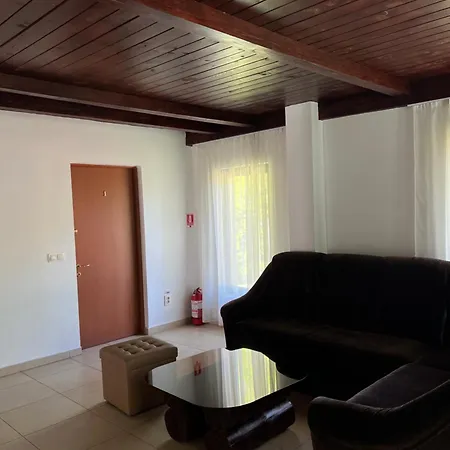 Guest house Pensiunea Roxana *