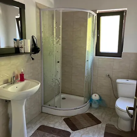 Pensiunea Roxana Guest house