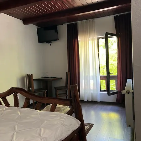 Pensiunea Roxana Guest house Valea Viseului