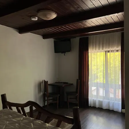 Guest house Pensiunea Roxana Valea Viseului