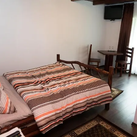 Guest house Pensiunea Roxana