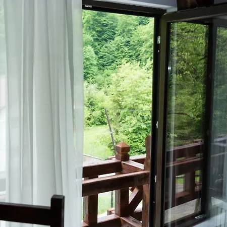Guest house Pensiunea Roxana *