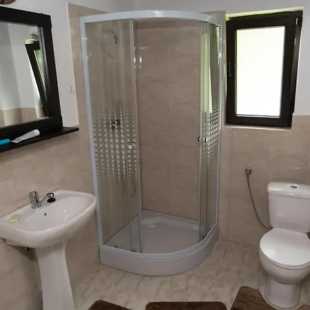 Guest house Pensiunea Roxana