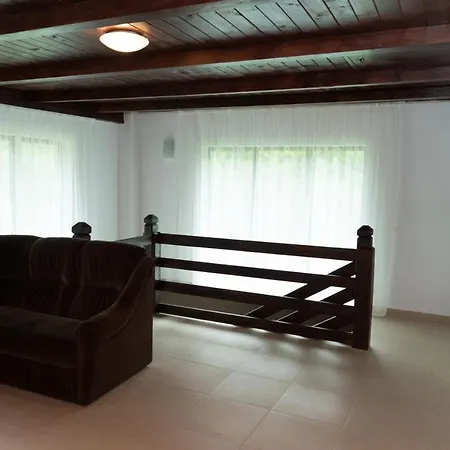 Pensiunea Roxana Guest house Valea Viseului